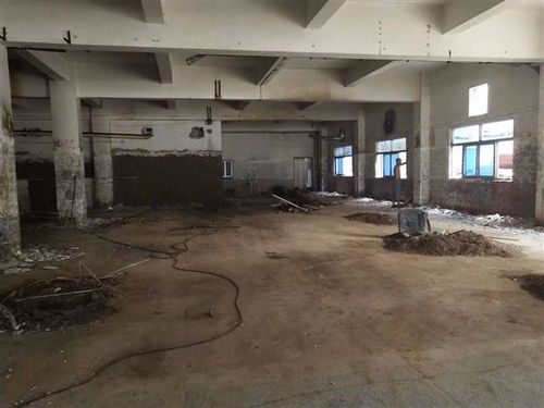 地震無情，數據有心 揭秘開平市幼兒園房屋抗震檢測成本的多維考量