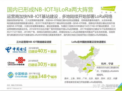 2018年中國物聯網LPWA技術研究與發展報告